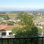 Tre Girasoli