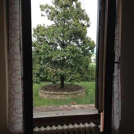Apartment Tre Girasoli Monte San Savino