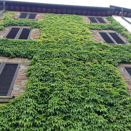 Tre Girasoli Apartment Monte San Savino