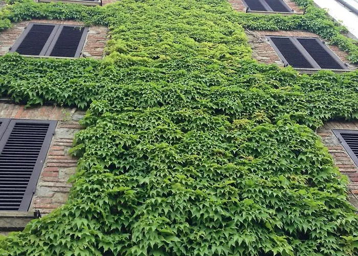 Tre Girasoli アパート モンテ・サン・サヴィーノ