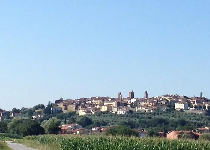 Tre Girasoli モンテ・サン・サヴィーノ